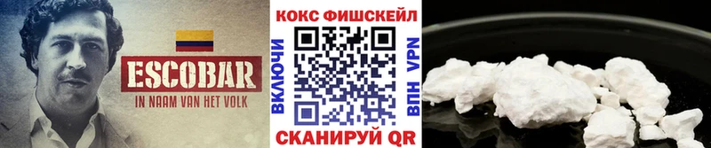 COCAIN Fish Scale  mega маркетплейс  Енисейск 
