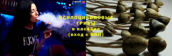 ешки Михайловск