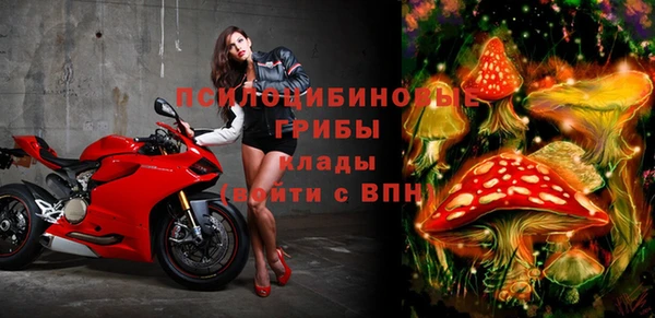 каннабис Михайловка