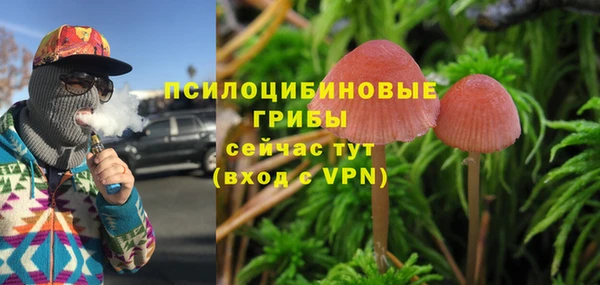 крисы Михайлов