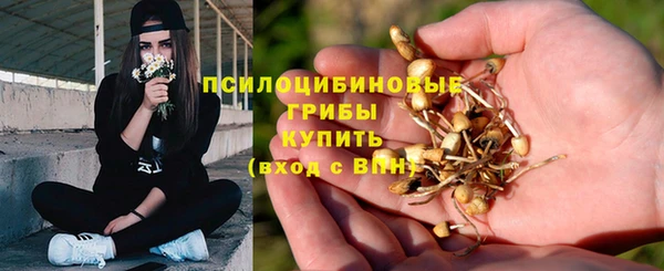 крисы Михайлов
