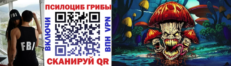 купить наркотики сайты  Енисейск  Псилоцибиновые грибы ЛСД 